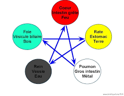 les 5 éléments en MTC